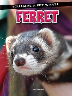cover image of Ferret